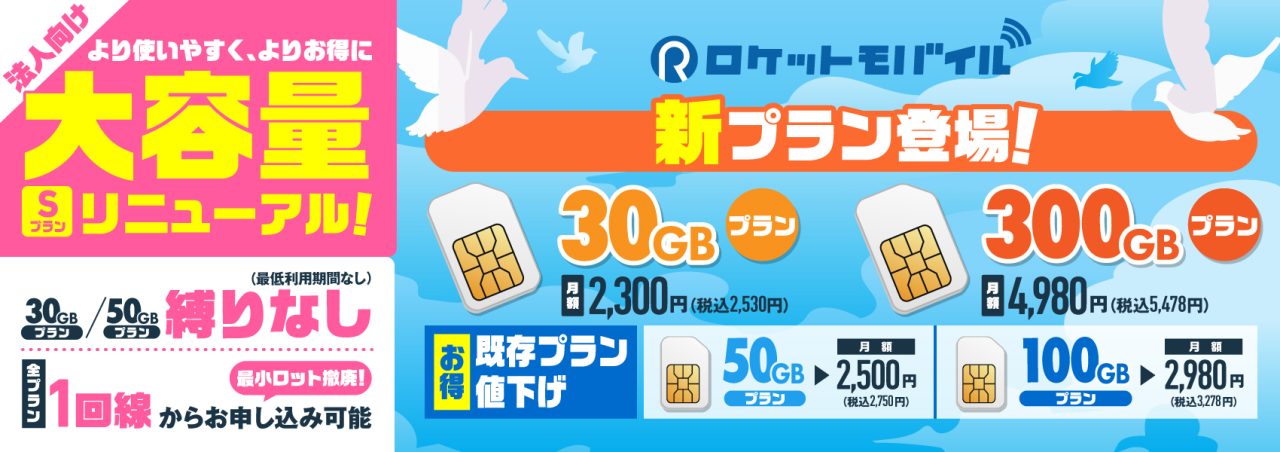 大容量プランSプランリニューアル！既存プラン値下げ、30GB・300GBプラン新登場！