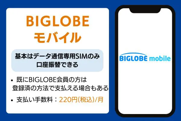 BIGLOBEモバイルの基本情報を紹介している画像