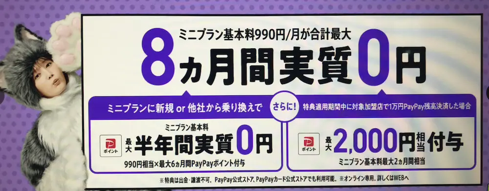 LINEMO 実質8ヶ月間０円 (1)