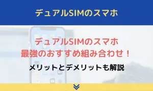 デュアル sim