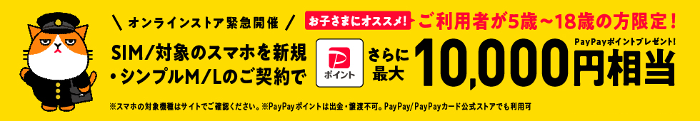 学生におすすめ！オンラインストアでSIM/対象のスマホを新規契約で10,000円PayPayポイントプレゼント
