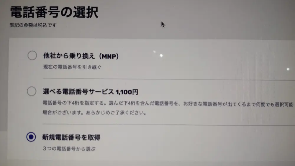 Rakuten WiFi Pocket申し込み5