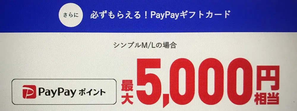 ワイモバイル PayPayポイント！5,000円相当プレゼントキャンペーン
