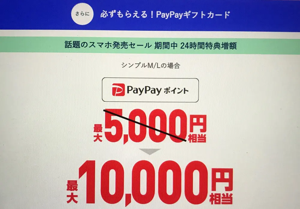 ワイモバイル PayPayポイント！5,000円相当プレゼントキャンペーン