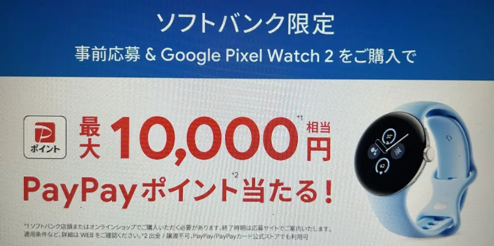 【ソフトバンク】Google Pixel Watch 2 購入特典