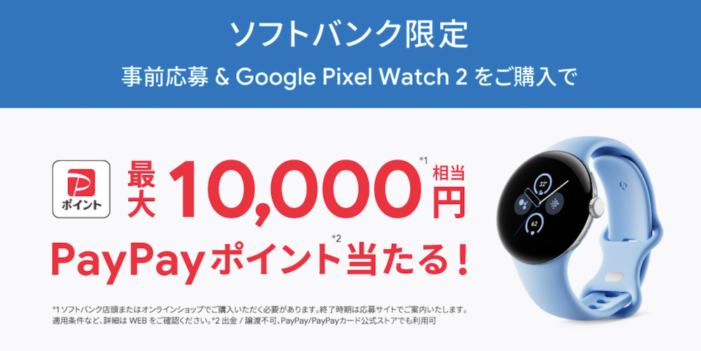 Google Pixel Watch 2 購入特典