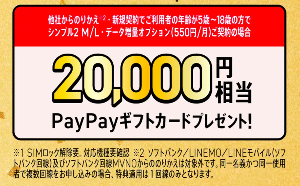 オンラインストアでSIMカード/eSIMご契約でPayPayポイントプレゼントキャンペーン