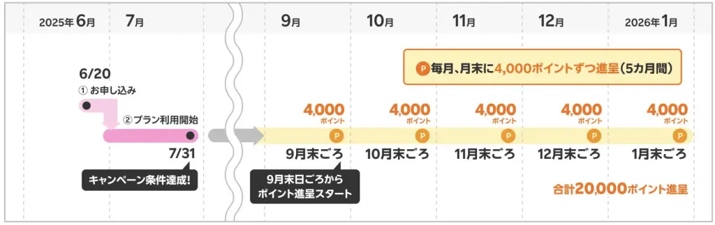 20,000ポイント進呈時期の具体例