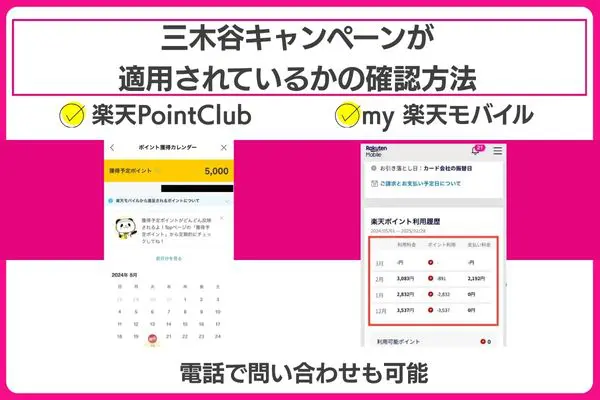 三木谷キャンペーンのポイント付与確認方法
