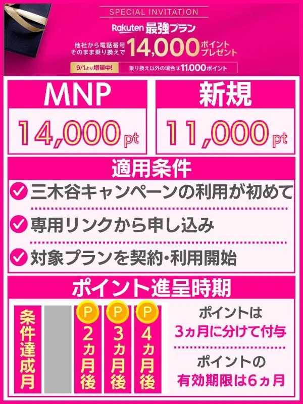 三木谷キャンペーンポイントまとめ