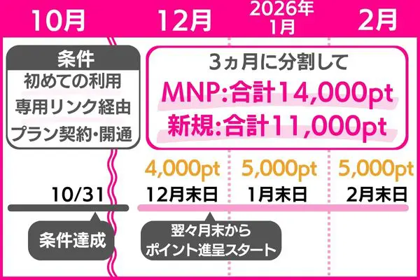進呈スケジュール例