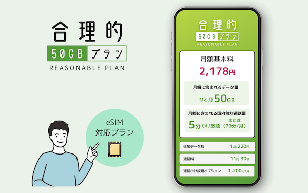 日本通信SIM 合理的50GBプラン