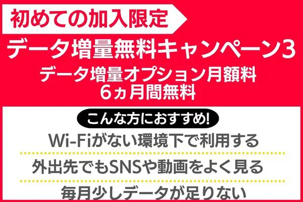 データ増量オプション